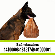 segíts te is!
