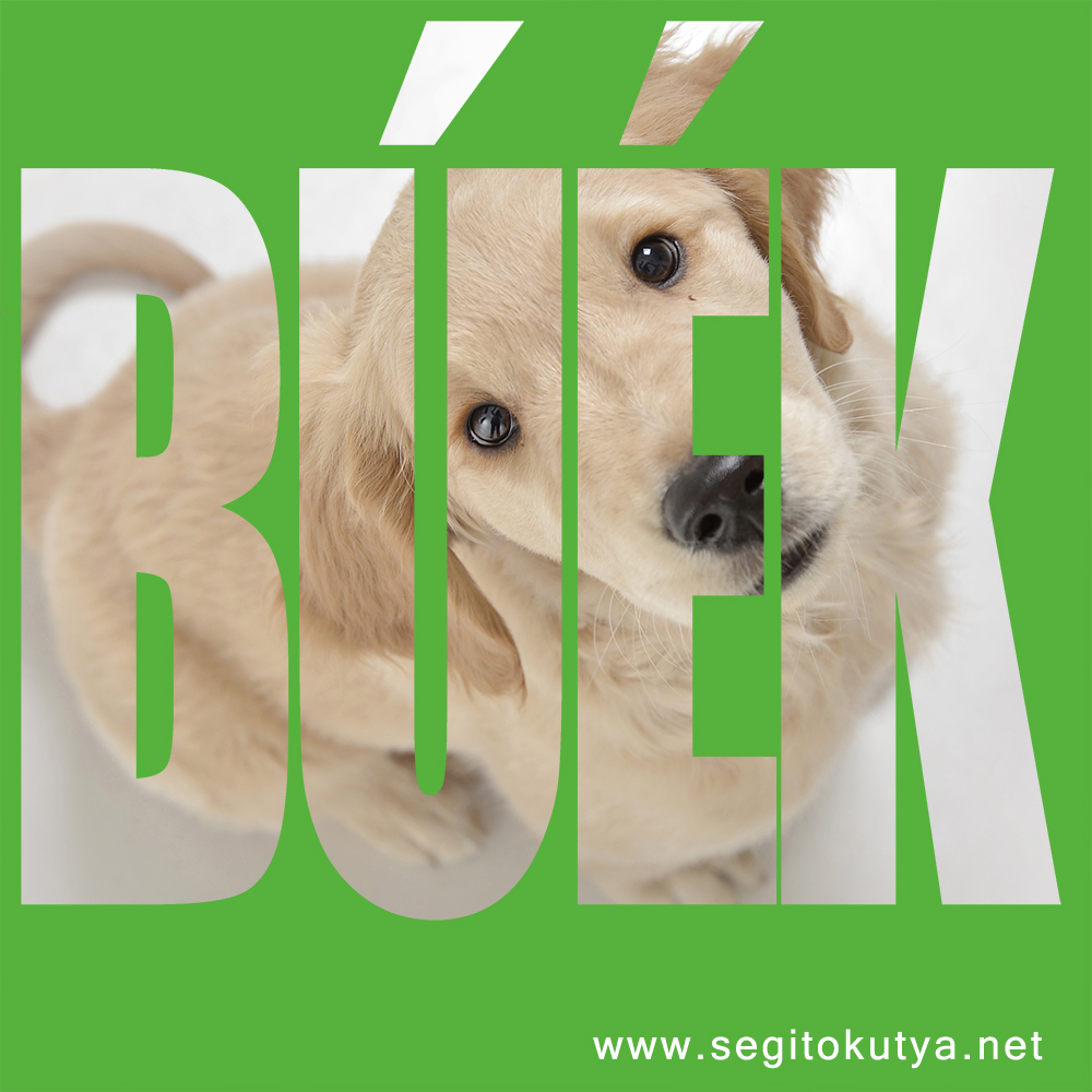 buek_2016