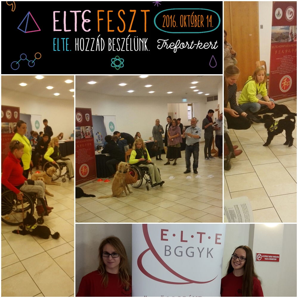 eltefest2016